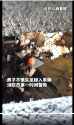 WeChatAppEx_UN9ALbeXSi_thumb.jpg