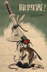 Kill_bird_and_insect