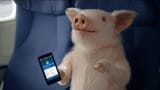 geico-mobile-app-when-pigs-fly-large-5.jpg