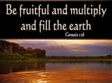 Genesis+1-28+Be+Fruitful+And+Multiply+black-2611471474