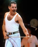 macho macho man