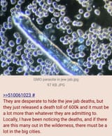 600k jew jab deaths