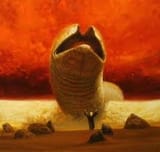 images (29)