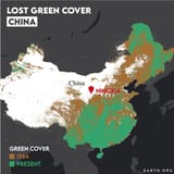 lost-green-cover-China-with-label-1