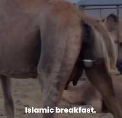 islamic breakfast_thumb.jpg