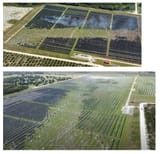 solar farm tornado