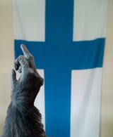 ook-ook-finland-bad