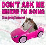 1742767159111911m