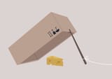 a-box-and-stick-trap-a-mechanism-used-for-live-trapping-with-a-piece-of-cheese