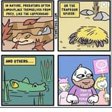 stonetoss camouflage