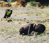 starving nigger vulture toast