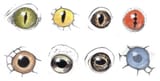herp-eyes-3
