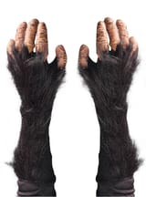adults-chimpanzee-hands