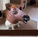 KHMtemplate