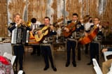mariachi