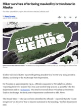 TheBearPicksAWoman