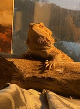 IMG_0398