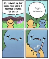 1753312773495481