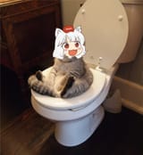 awoo on the toilet