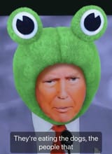 Frog