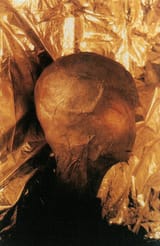 7-Reed-Alien-Body-Head