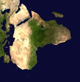 Africa Reptilians Self Portrait