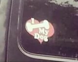 dogfucking