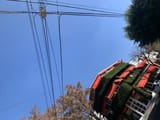IMG_0125