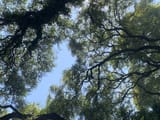 IMG_0475
