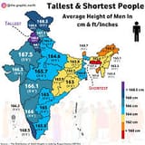 pajeet midgets