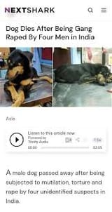 pajeets raped dog