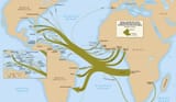 slave trade atlantic nig