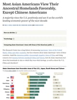 chinks in the usa