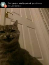 CATPHONE