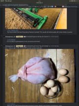 (0) pol - Do you support struggling small business owners - Politically Incorrect - 4chan