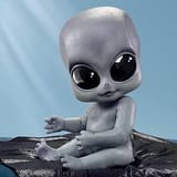 grey little shit
