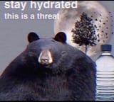 Bear Hydro Homie
