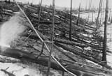 Tunguska_Ereignis-1