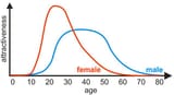 female_male_attractivenes_age