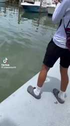 fishing_thumb.jpg
