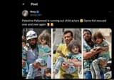 pallywood