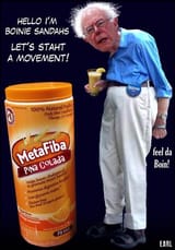 bernie movement