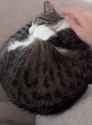 1722710100874403_thumb.jpg