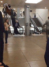 bernie