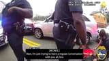 niggers