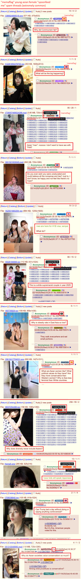 asian memeflags questions