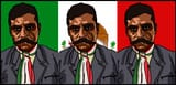 zapata bandera