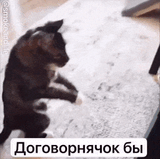договорнячок