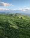waves of grass_thumb.jpg