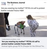moo